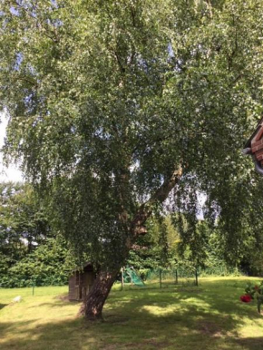 Mühlenweg Onkel Fiffi